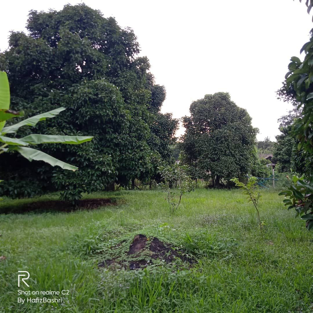 Tanah Kampung Gebok Mantin
