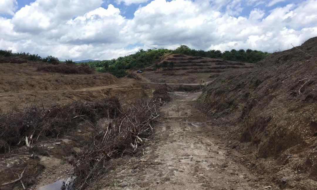 ba0ccb60-94c1-4aa2-b0d6-6da5d6a6917d