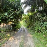 Tanah Jalan Pantai Seremban