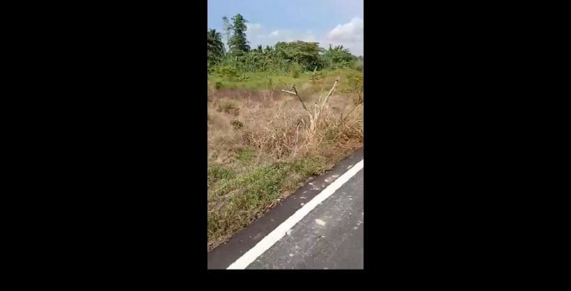 Tanah Sesapan Minangkabau Beranang