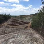 Tanah Tanjung Kling Rembau