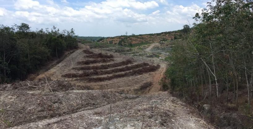 Tanah Tanjung Kling Rembau