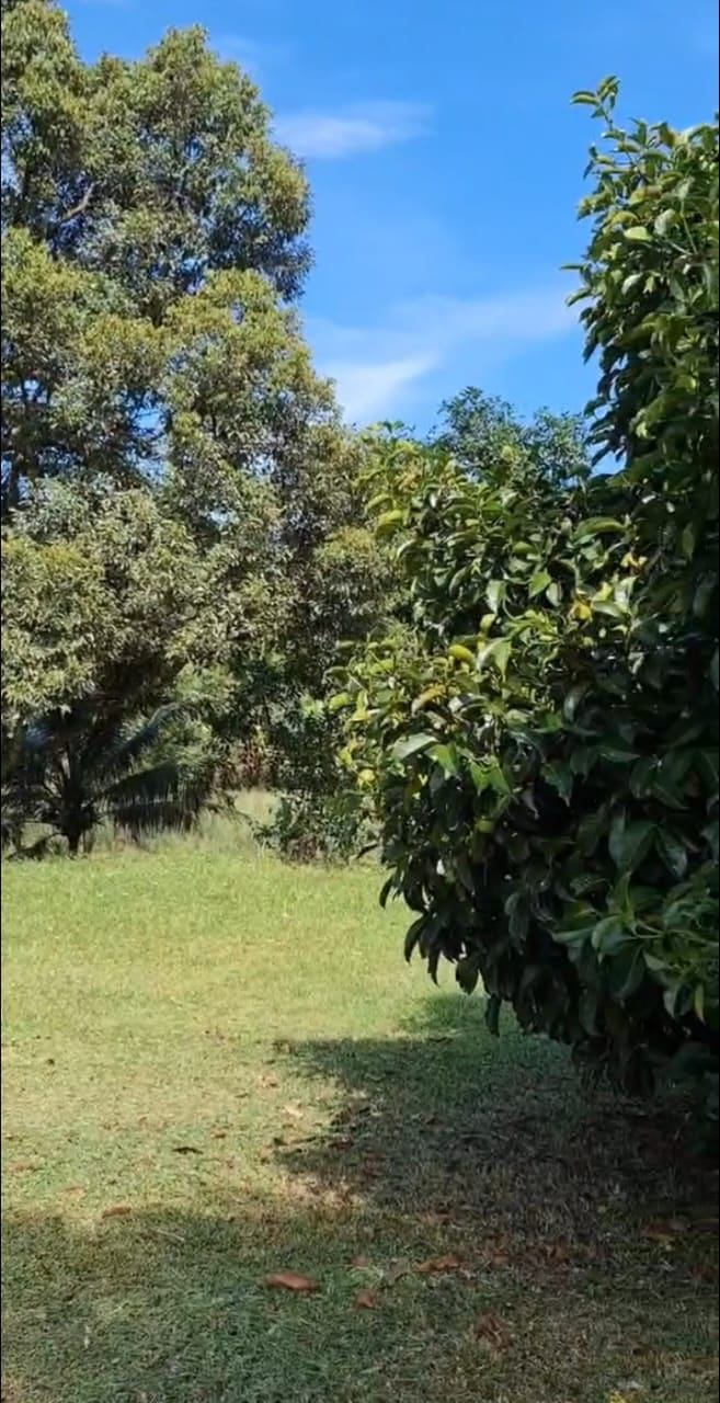 Tanah Dusun Kalumpang Hulu Selangor