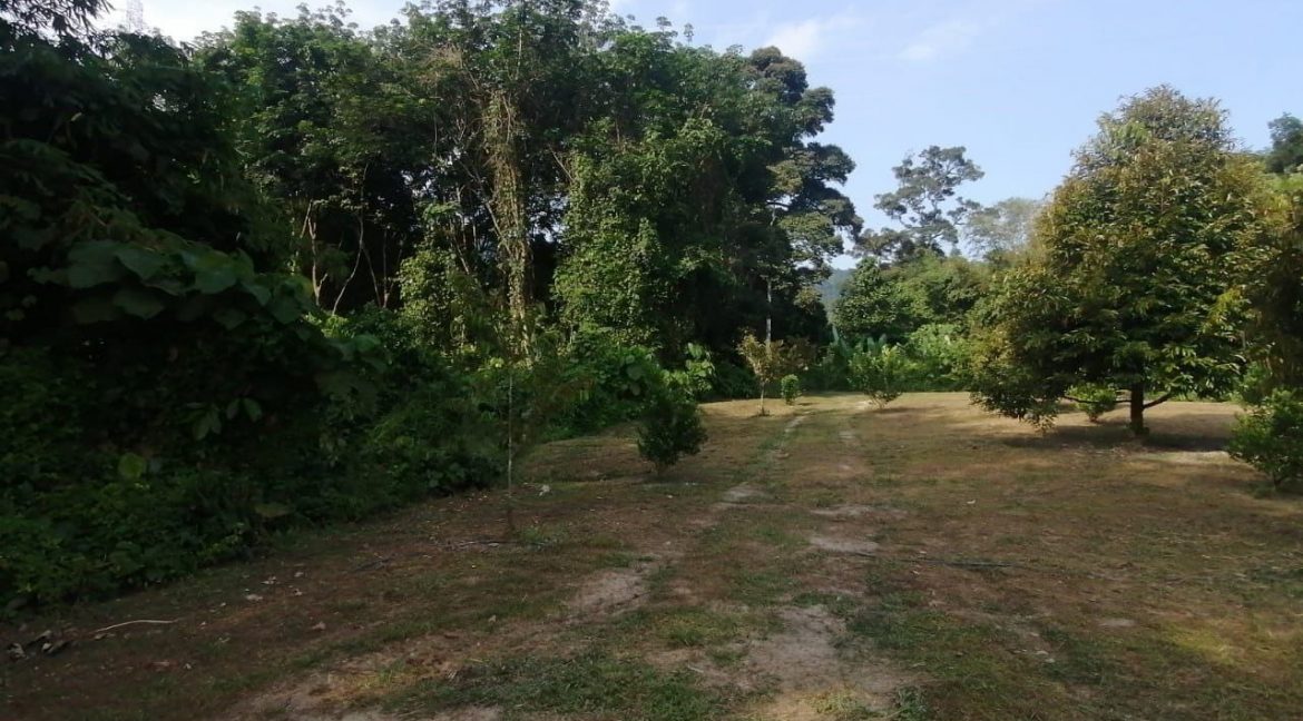 ee821650-efe9-48bb-8ab4-895d730d042b