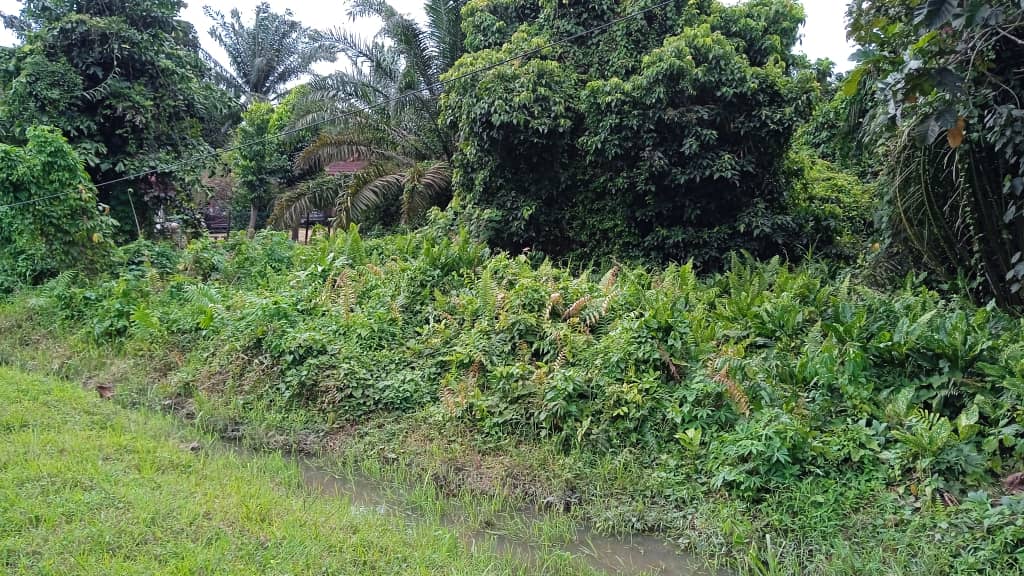 03674772-04e2-4520-bb9e-83e597b9c37f