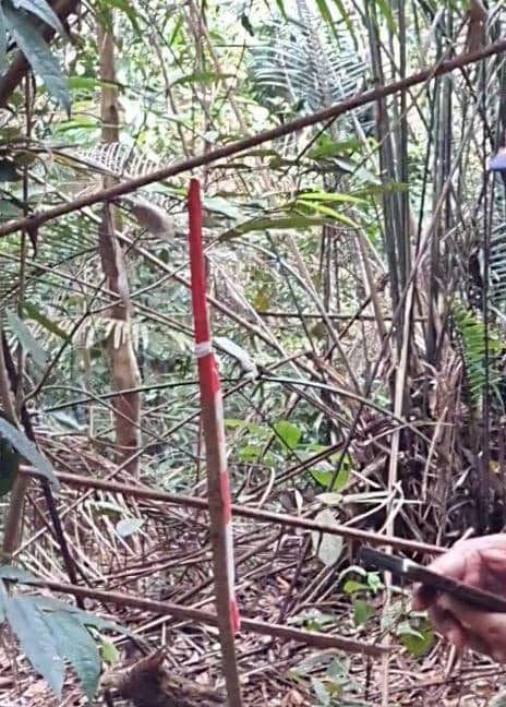 0ac220c7-796a-49d9-9542-fcf592cf5ff0