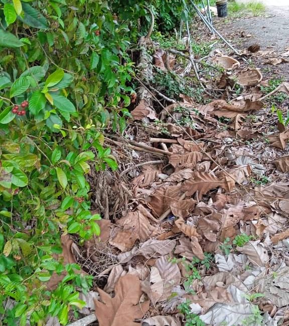 2b129abb-65af-4c40-98c0-716e833e9e69