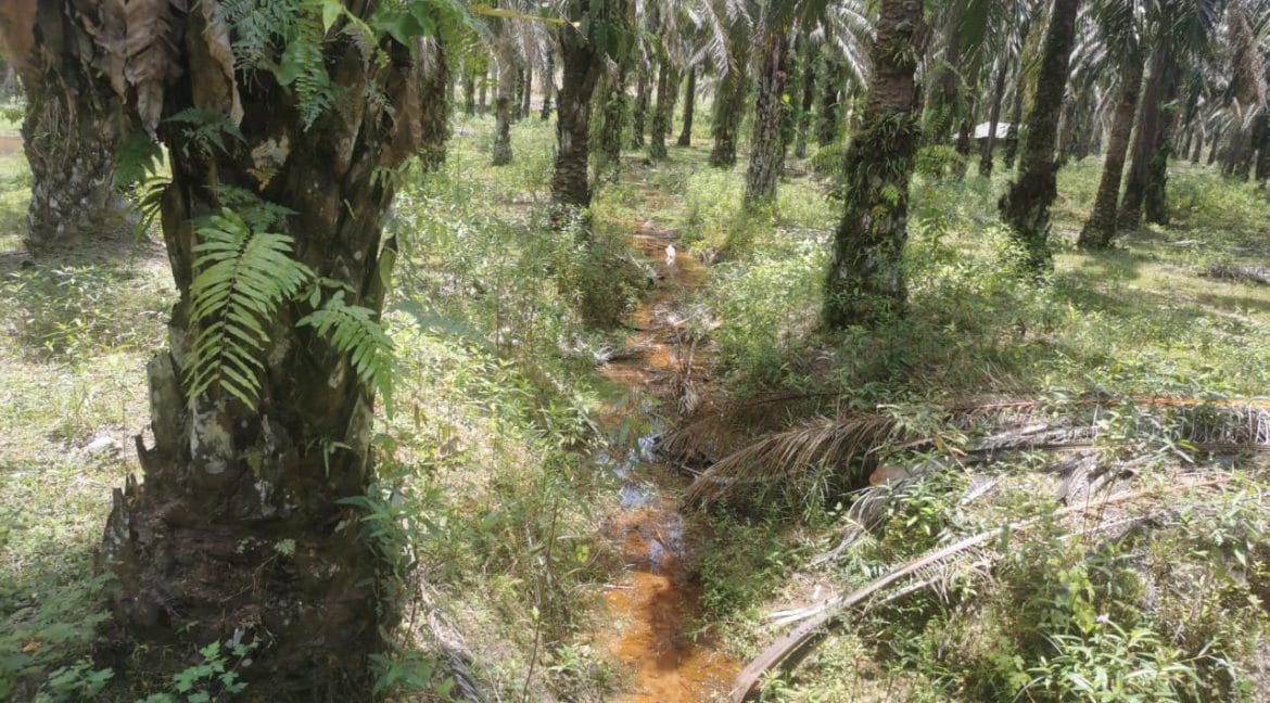 3c21212e-f157-42e4-b202-ce2e2b824f97