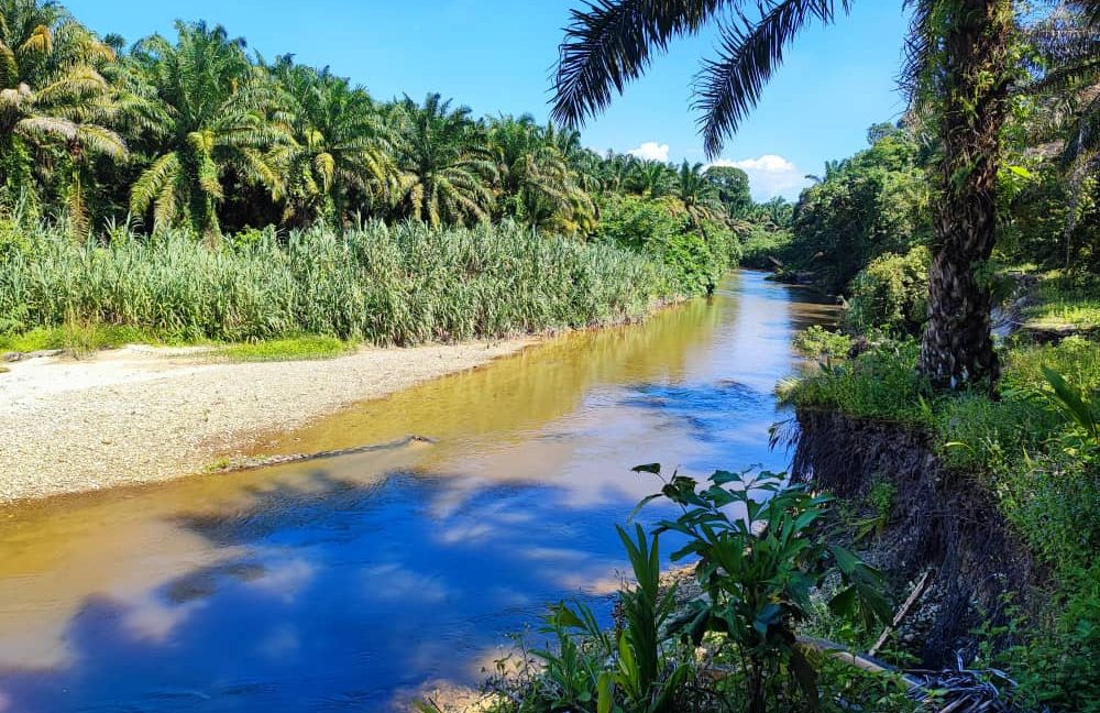 4a2bb6c3-5ea7-4abe-a5ce-03d155c353e1