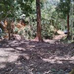 Tanah Kampung Gagu Ulu Triang Jelebu