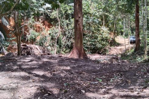 Tanah Kampung Gagu Ulu Triang Jelebu