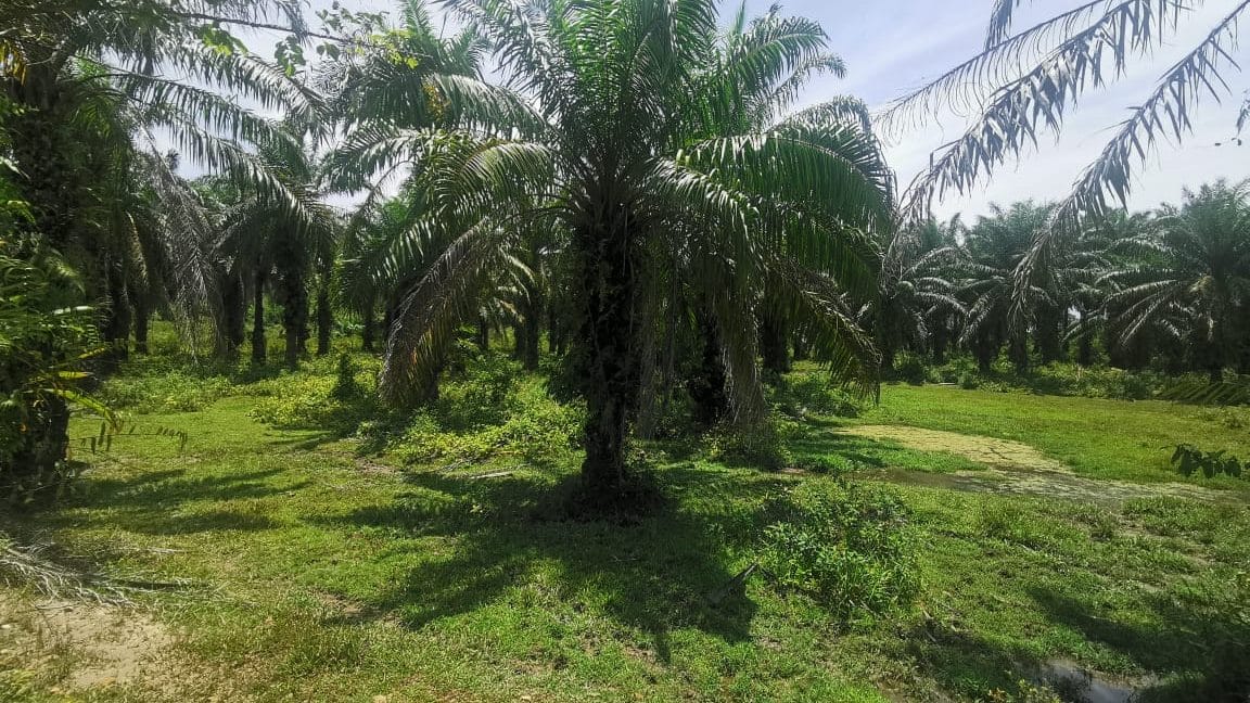 4c4fec98-6fd5-4a98-a45b-dceb6f5981ca