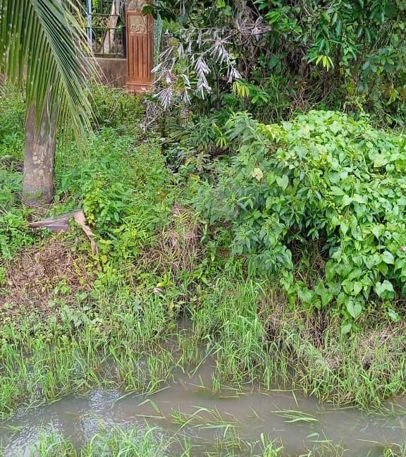 665174fe-213a-4375-bf46-bf43d86e167a