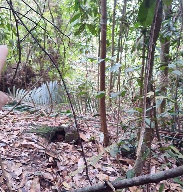 9e1315cb-2d46-47bf-8a4e-1c671a86c8be