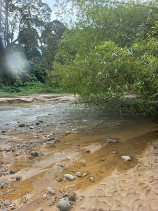 Tanah Pertanian Sungai Lui