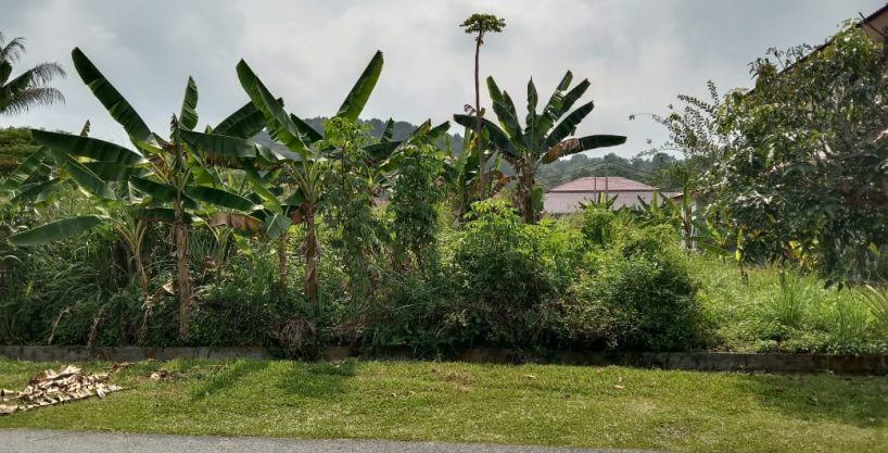 Tanah Tanjung Damai Tanjung Rambutan