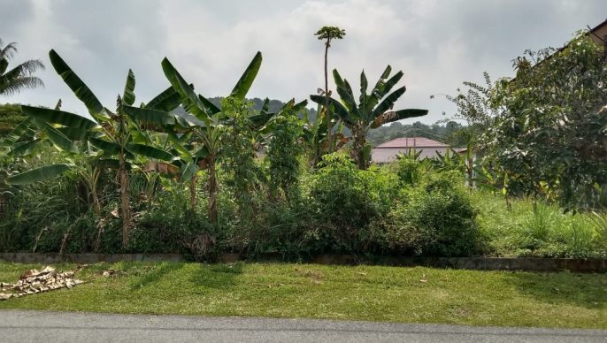 Tanjung Damai Tanjung Rambutan