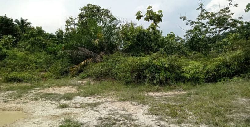 Tanah Kundur Hilir Rembau