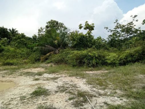 Tanah Kundur Hilir Rembau