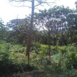 Tanah Linggi Port Dickson