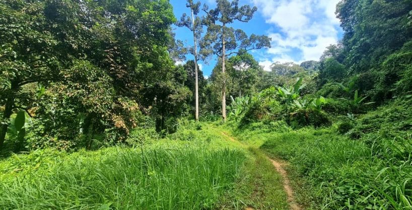 Tanah Kemensah Ulu Kelang