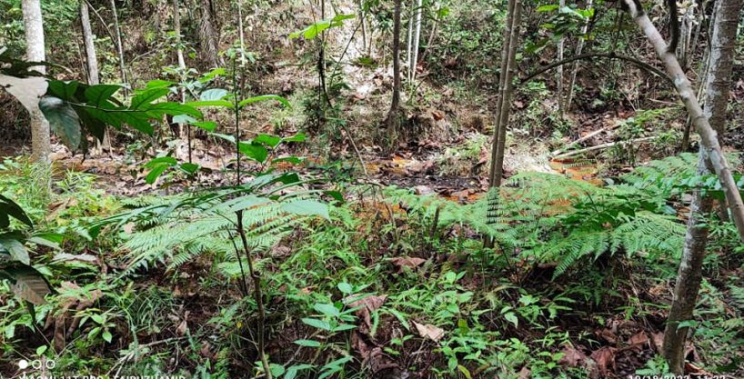 Tanah Batang Kali Kuala Kubu Baru