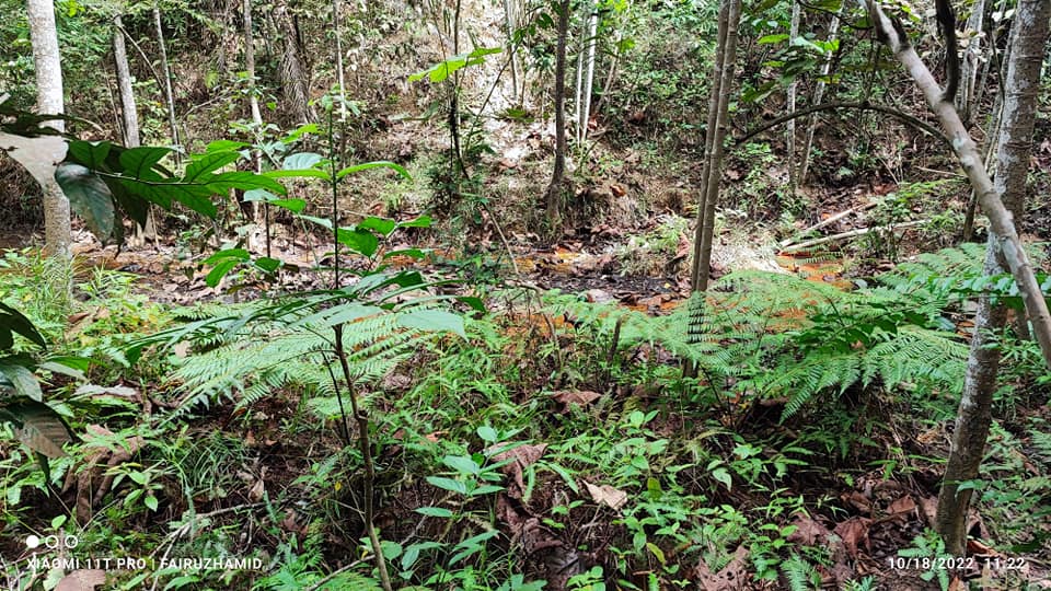 Tanah Batang Kali Kuala Kubu Baru