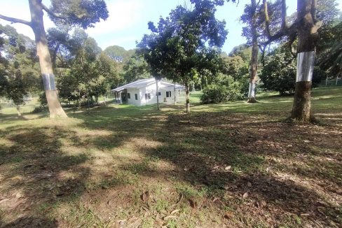 Tanah Dusun Durian Kampung Gajah Perak