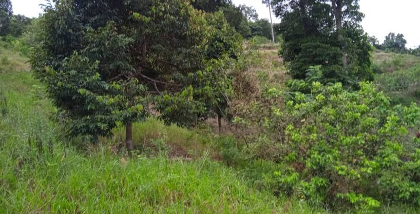Tanah Sungkak Ulu Muar Kuala Pilah