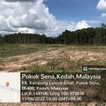 Tanah Bukit Payong Pokok Sena