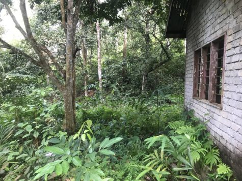 Tanah Dusun Padang Terap
