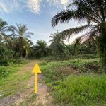 Tanah Kampung Parit Haji Salam Simpang Renggam