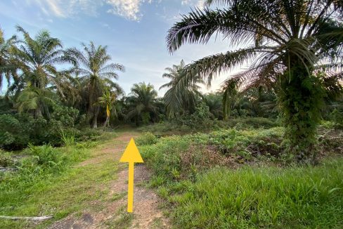 Tanah Kampung Parit Haji Salam Simpang Renggam