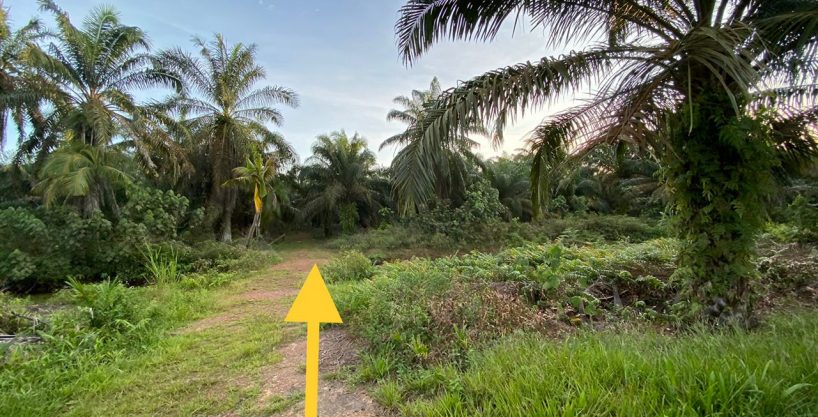 Tanah Kampung Parit Haji Salam Simpang Renggam