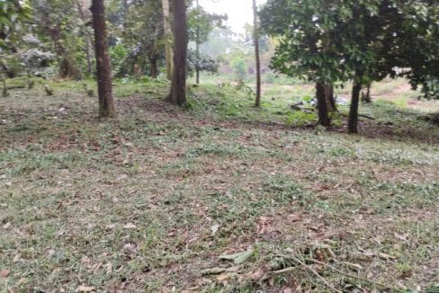 Banglo lot Kampung Pasir Ulu Yam