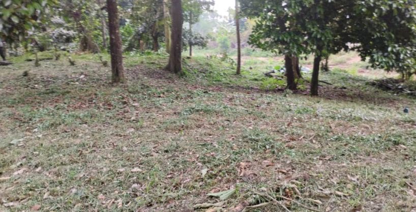 Banglo lot Kampung Pasir Ulu Yam