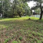 Banglo Lot Bukit Jelutong Shah Alam