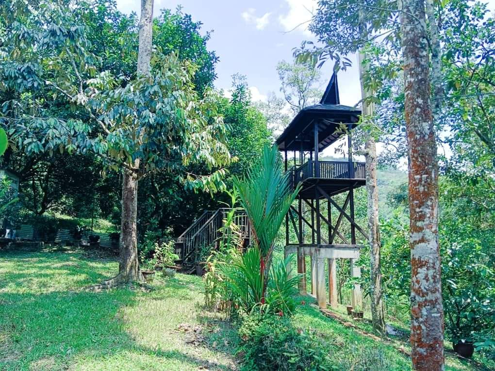 Tanah Tamu Hills Batang Kali