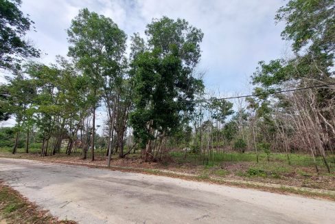 𝗧anah 𝗟ot 𝗕ungalow 𝗕andar 𝗣uncak 𝗔lam