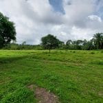 Tanah Kampung Giching Labu Lanjut