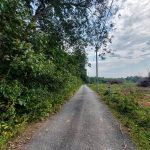 Tanah Pertanian Chengkau Rembau