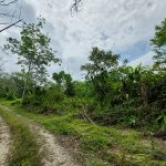 Tanah Sabai Karak Pahang