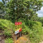 Tanah pertanian Tanjung Malim