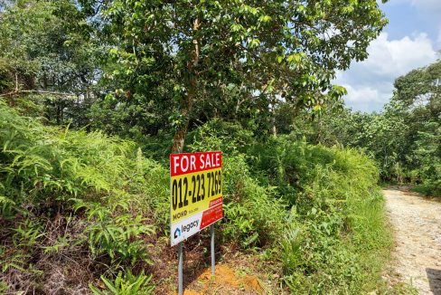 Tanah pertanian Tanjung Malim