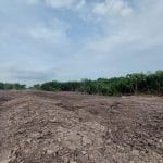 Development Land Bukit Gagak Tanjung Dua Belas