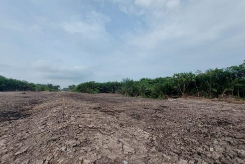 Development Land Bukit Gagak Tanjung Dua Belas