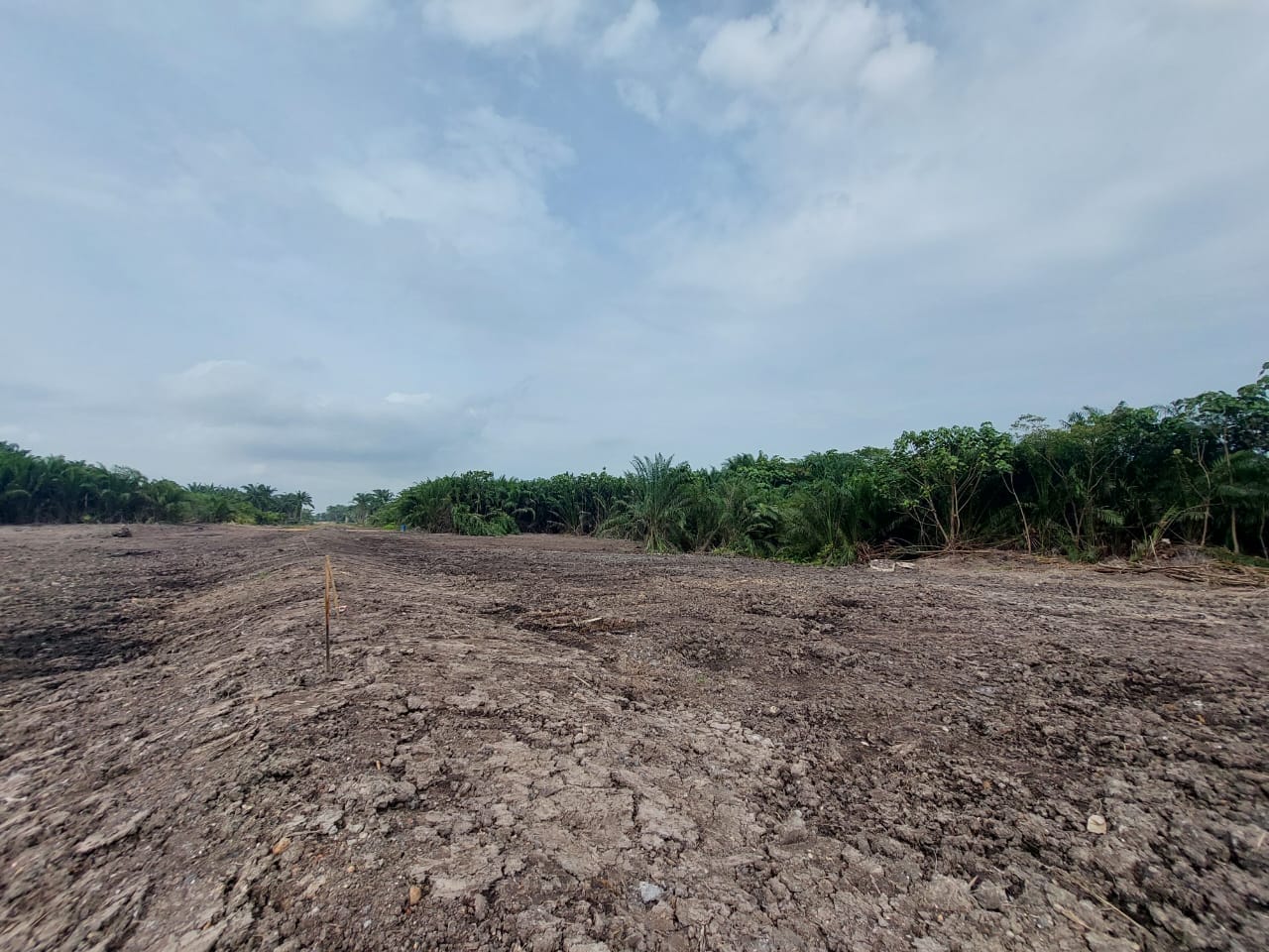 Development Land Bukit Gagak Tanjung Dua Belas