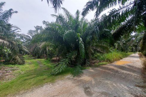 Tanah Sungai Blankan Ulu Teris Sungai Pelek