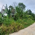 Agriculture Land Mantin Negeri Sembilan