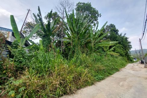 Agriculture Land Mantin Negeri Sembilan